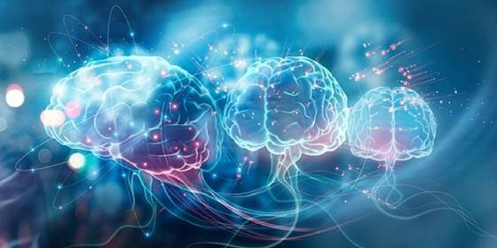 BrainHealth33
