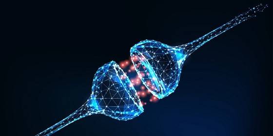 BrainHealth33